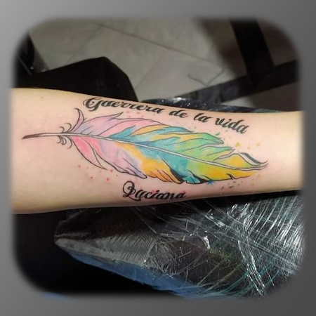 galeria-pluma-frase