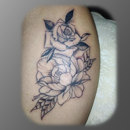 galeria-rosas